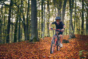 Plakat Enfant en vélo dans les bois en automne