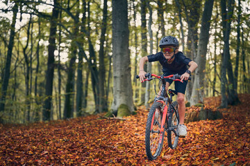 Enfant en vélo dans les bois en automne - obrazy, fototapety, plakaty