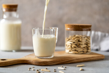 Sunflower milk pouring to a glass mu, milk bottle, raw seeds in jar, cutting board on concrete grey background. 