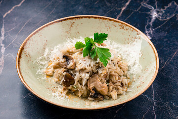 risotto with porcini mushrooms on plate