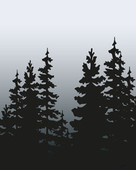 Spruce treeline silhouette landscape. Pine tree silhouette landscape