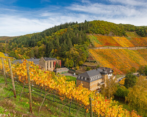 Kloster Marienthal im Goldenen Oktober 2022– Stadt Bad Neuenahr-Ahrweiler; Deutschland