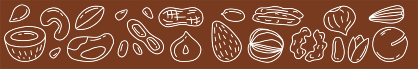 Vector horizontal pattern with different types of nuts hand-drawn in doodle style.