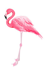 Pink flamingo in full growth, highlighted on a white background, side view with straight legs, curved neck, bright feathers. Printing on any surface