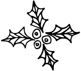 Rough hand-drawn simple outline black and white icon of holly leaves and berries. Winter holiday vector doodle isolated on transparent background. Illustration for kids coloring page