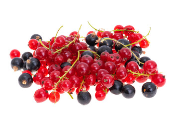 currant berries isolated