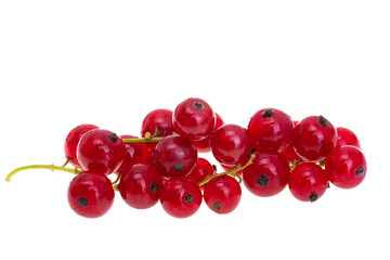 currant berries isolated