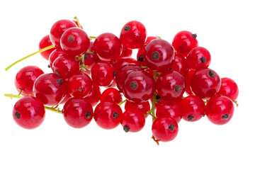 currant berries isolated