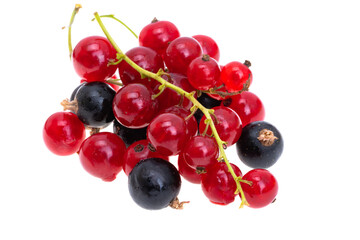 currant berries isolated