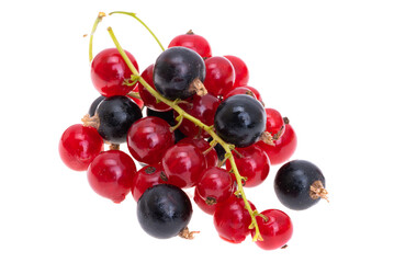 Naklejka na ściany i meble currant berries isolated