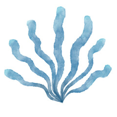 seaweed watercolor marine plant
