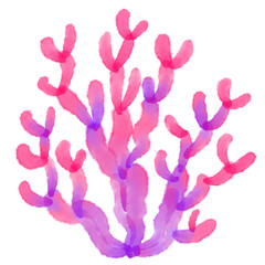 Naklejka na ściany i meble seaweed watercolor marine plant 