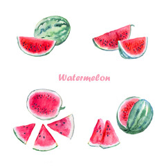 Watermelon ,  watercolor food illustration 