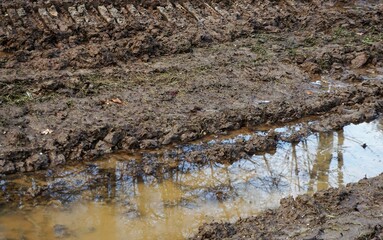 Braune Schlammlandschaft mit Wasserpfütze und Spiegelung von Bäumen am Morgen im Winter