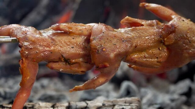 Close-up panorama of raw quail carcasses on the skewer above the open fire 