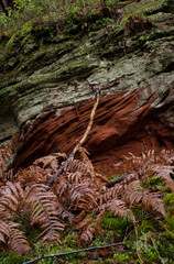 Texture in the layers of a rock formation in the Palatinate Forest of Germany near Devil's Table on a winter day.