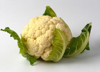 Isolated cauliflower on white background