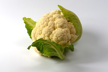 Isolated cauliflower on white background