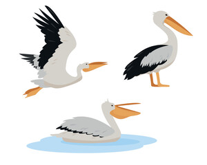 Set of white pelican birds in different poses isolated on white background. Graceful Pelicans icons. Nature Vector flat or cartoon illustration.