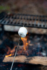 Toasting marshmallow on a stick over an outdoor fire