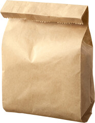 Brown Paper Bag - Isolated