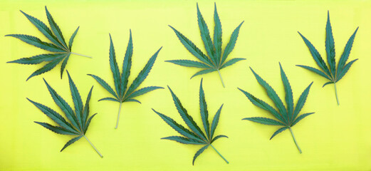 A panoramic pattern of cannabis leaves on a yellow  background.