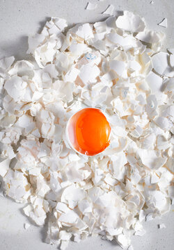 Egg yolk on cracked egg shells