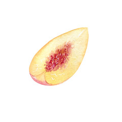 Watercolor hand drawing peach fruit slice