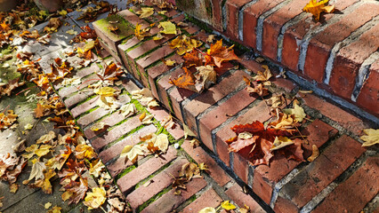 Im Herbst muss die Treppe zum Eingang vom Laub befreit werden