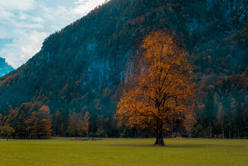 Logar valley or Logarska dolina in the Alps of Slovenia in autumn © Viktoriya