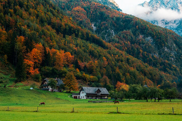 Logar valley or Logarska dolina in the Alps of Slovenia in autumn © Viktoriya