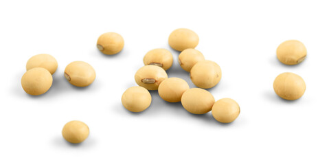 the soya beans on white background