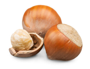 Nut shell isolated fruit photography food seed