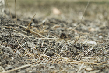 Dry earth.