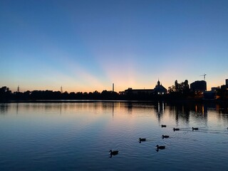 Fototapeta premium beautiful sunset on the shore of the lake with ducks on the background of the city