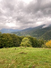 Fototapeta na wymiar .lonely small tree, mountain autumn landscape
