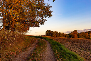 Sunny autumn evening on meadow. Scenic rural landscape.