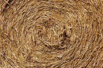 A close up of a hay bale after harvesting