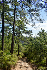 Sendero 1
