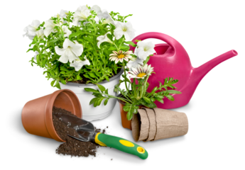 Close-up Gardening Equipment and plant on wooden table
