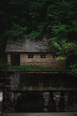 Abandoned house in the forest