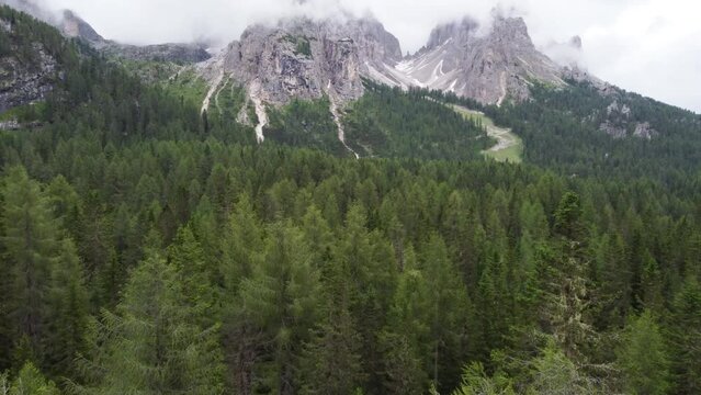 Aerial flight over larch trees in the beautiful Alps. High mountain peaks with mist after rain, Dolomites, Italy