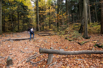 Tourist trail in the Jodłowa Primeval Forest, from Saint Catherine to Lysica, partly built as a boarded walkway