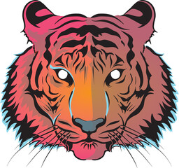 Illustration of the Tiger