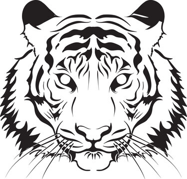Illustration of the Tiger