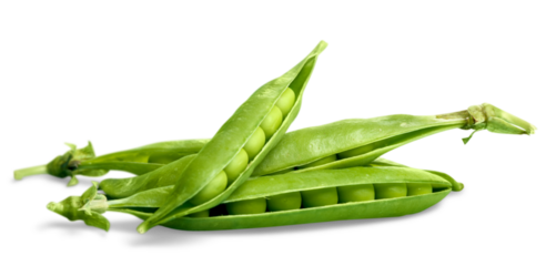Fresh Green Peas Isolated