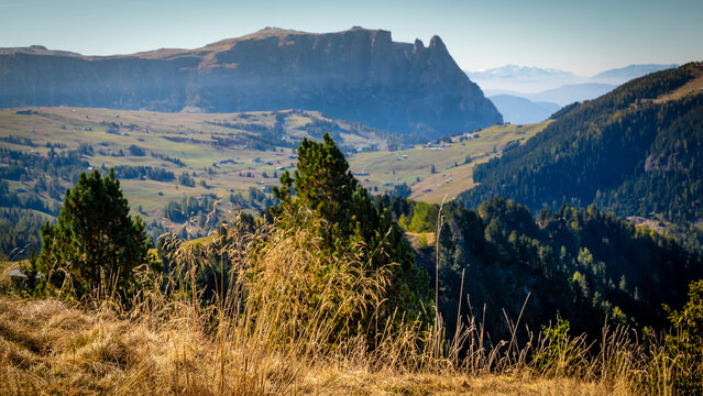 Alip di Siusi