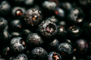 Blueberries in a bowl with waterspouts