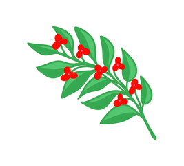 A branch with flowers, a drawing for the decoration of Christmas and New Year, a bright color picture, on a transparent background, for design and printing