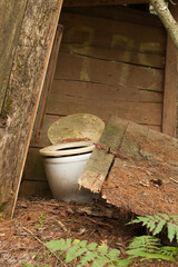 Old abandoned wooden outhouse in the woods. Ancient privy in the forest surrounded by ferns. Broken...